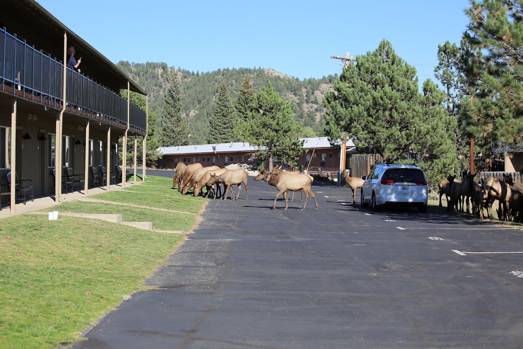 Quality Near Rocky Mountain National Park Estalagem 3*